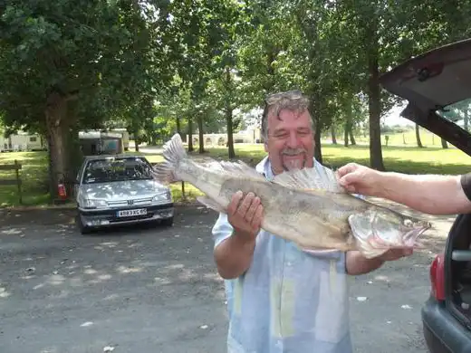 Pêche